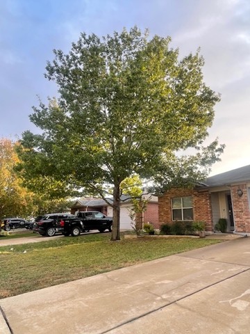 280 Spruce Drive Kyle, TX 78640 - Photo 28 of 30 View of side of home with brick siding, a yard, and concrete driveway