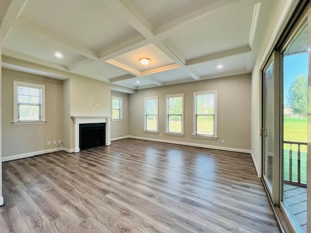 1717 Banks View Drive Raleigh, NC 27603 - Photo 11 of 33 an empty room with wooden floor and fireplace