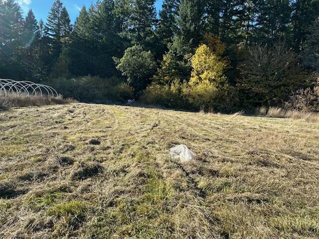 1200 McMullen Creek Road Selma, OR 97538 - Photo 1 of 5 Open Area
