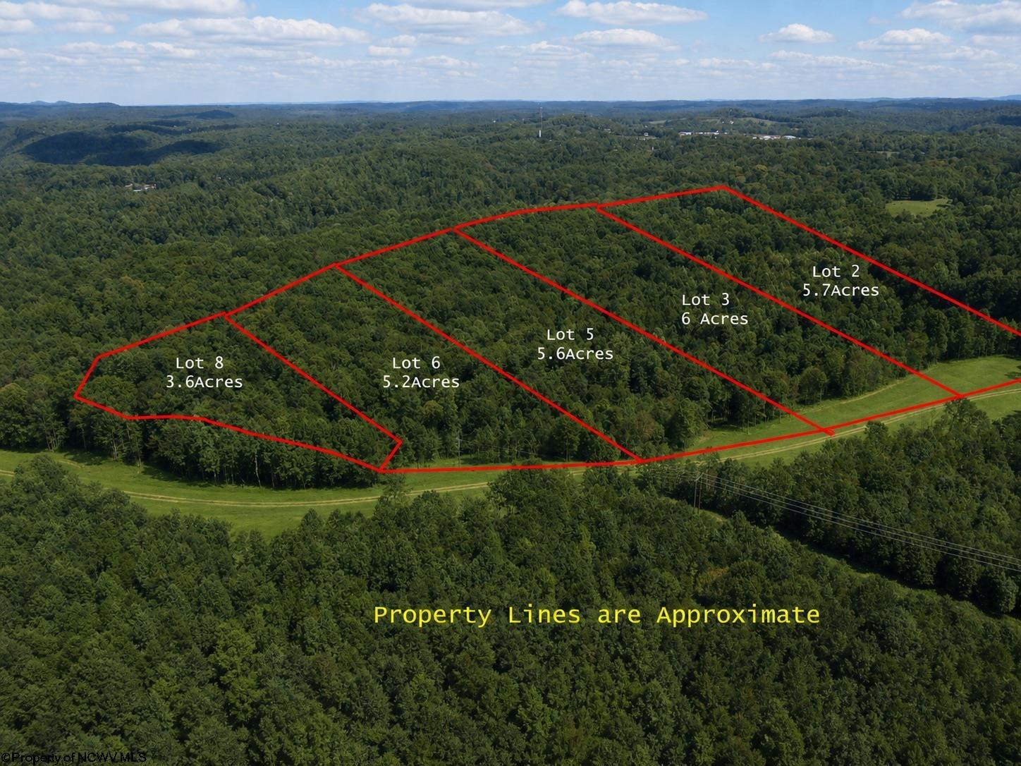 Lot 1 Gauley Ridge Mount Mount Nebo, WV 26679 - Photo 8 of 15 Gallery Image 8