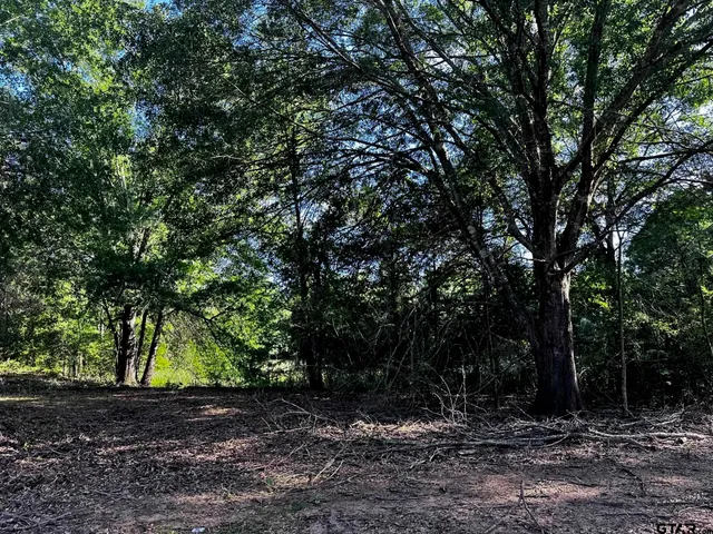 a view of a yard with a trees