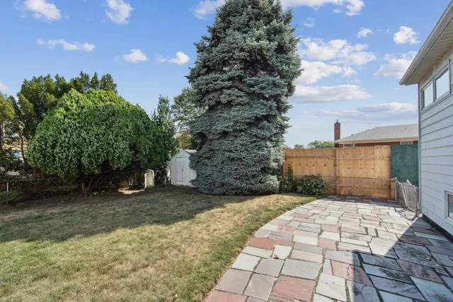 a view of a backyard