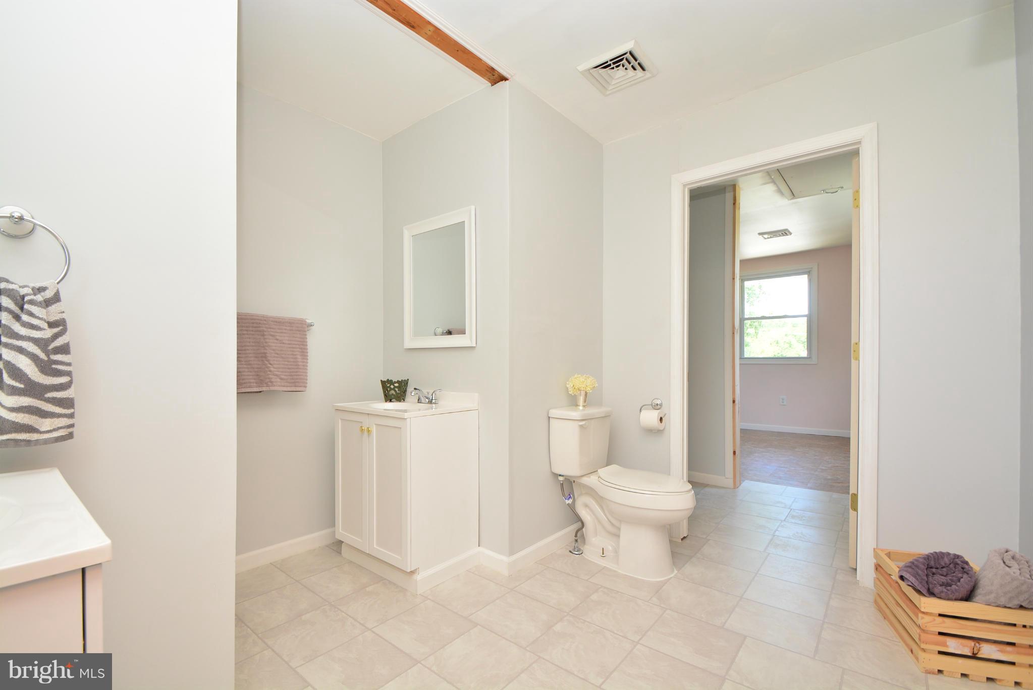 1865 Red Toad Road Port Deposit, MD 21904 - Photo 22 of 30 Bath (Master)