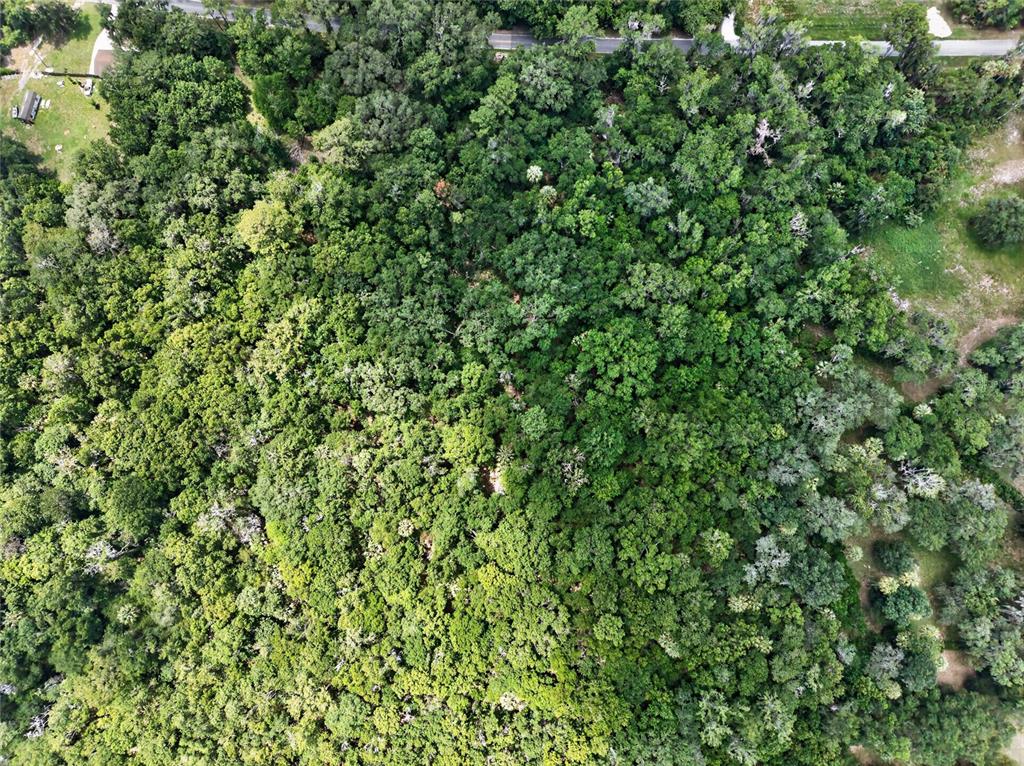 5725 Northwest 219th Street Road Micanopy, FL 32667 - Photo 5 of 17
