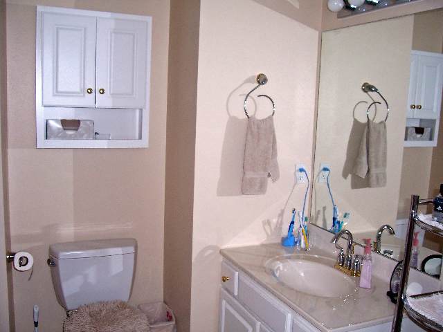 107 Spring Oaks Court Liberty, SC 29657 - Photo 11 of 19