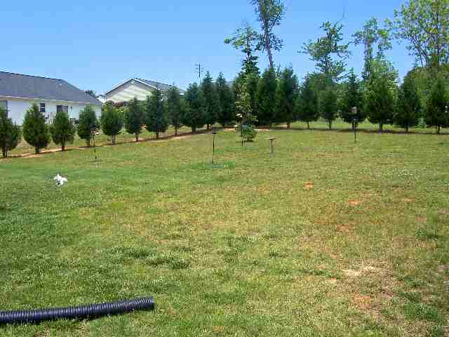 107 Spring Oaks Court Liberty, SC 29657 - Photo 19 of 19