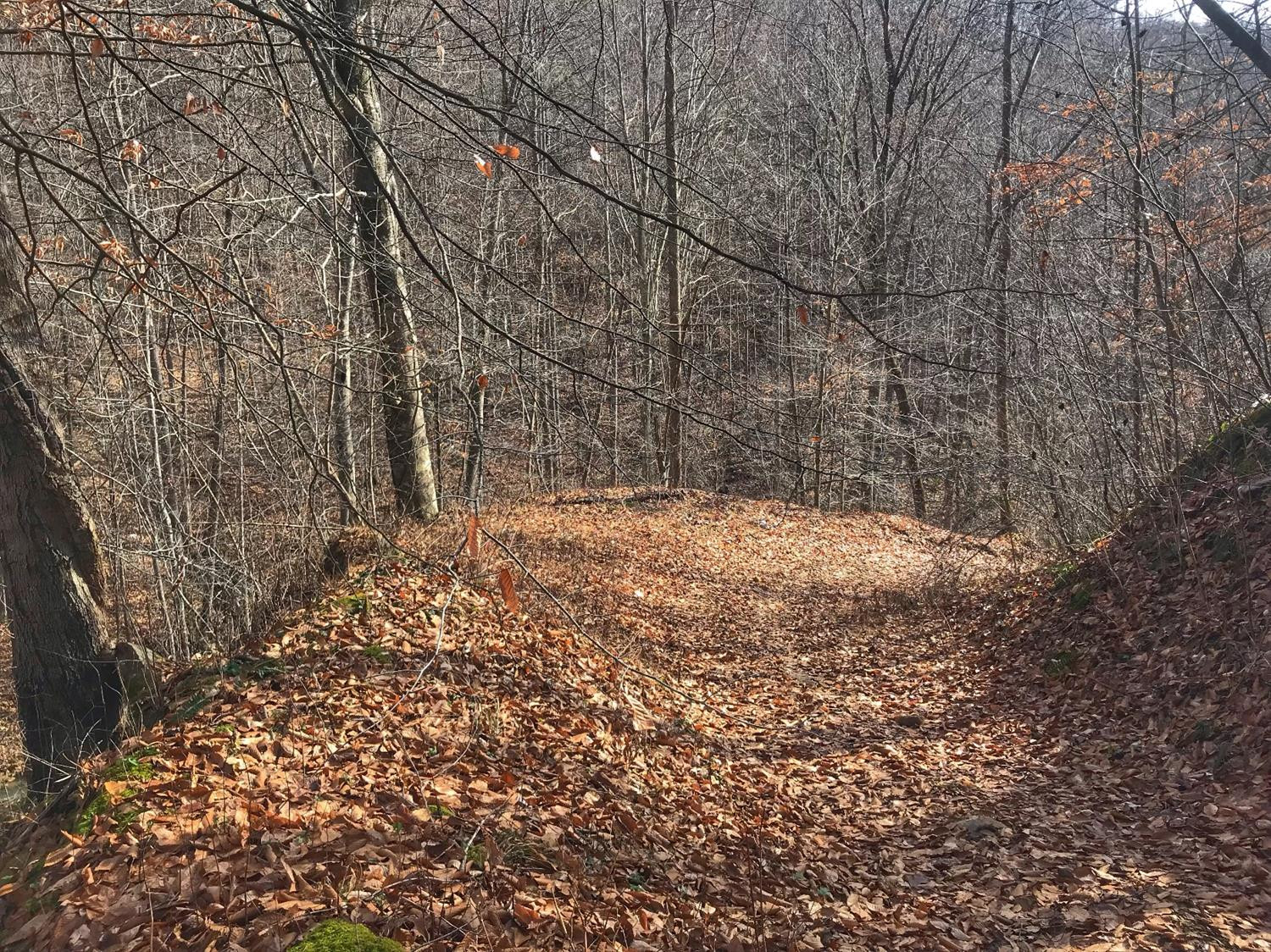 2 Otter Creek Road Manchester, KY 40962 - Photo 15 of 51 Photo 15