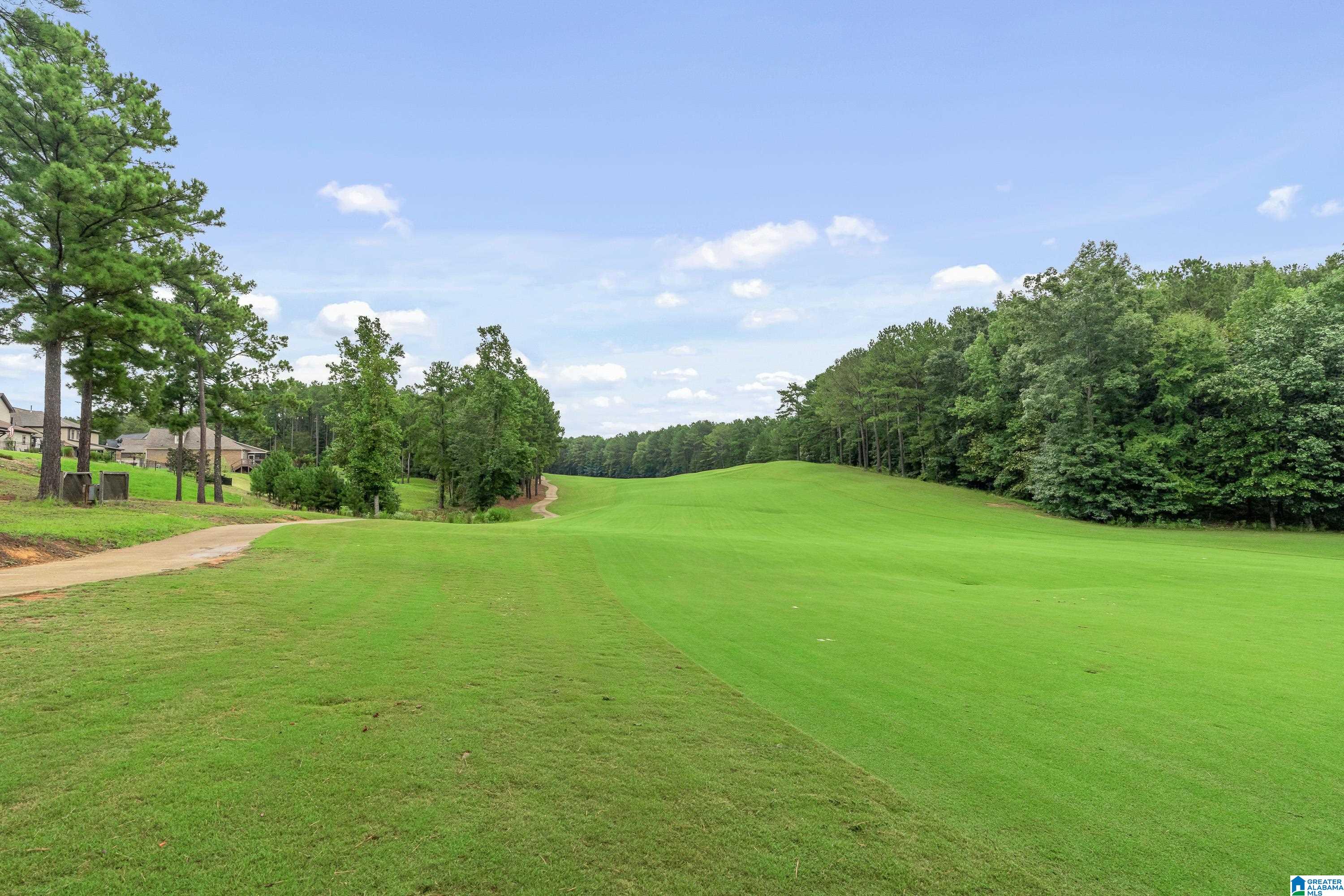 320 Kilkerran Lane Pelham, AL 35124 - Photo 35 of 52