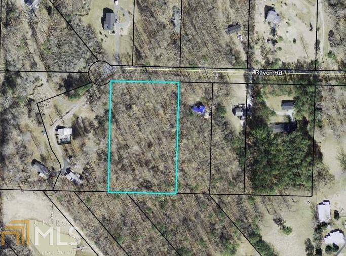0 Raven Road Villa Rica, GA 30180 - Photo 1 of 1