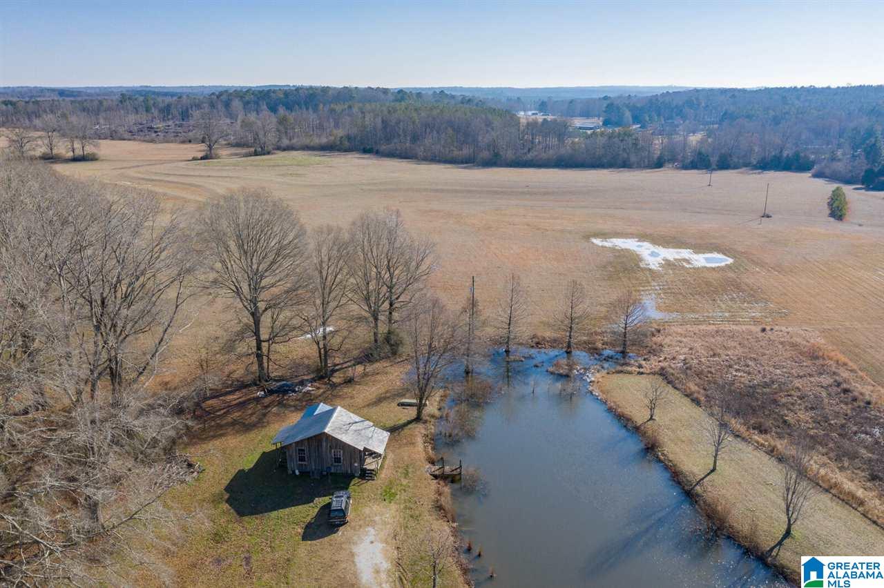 11218 Vance Blocton Road Vance, AL 35490 - Photo 31 of 37