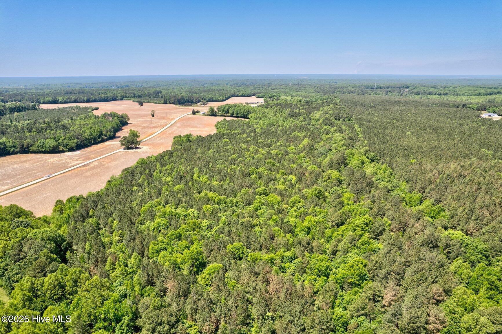 0 Seven Paths Road Spring Hope, NC 27882 - Photo 4 of 7 004-Land-SpringHope-SMALL