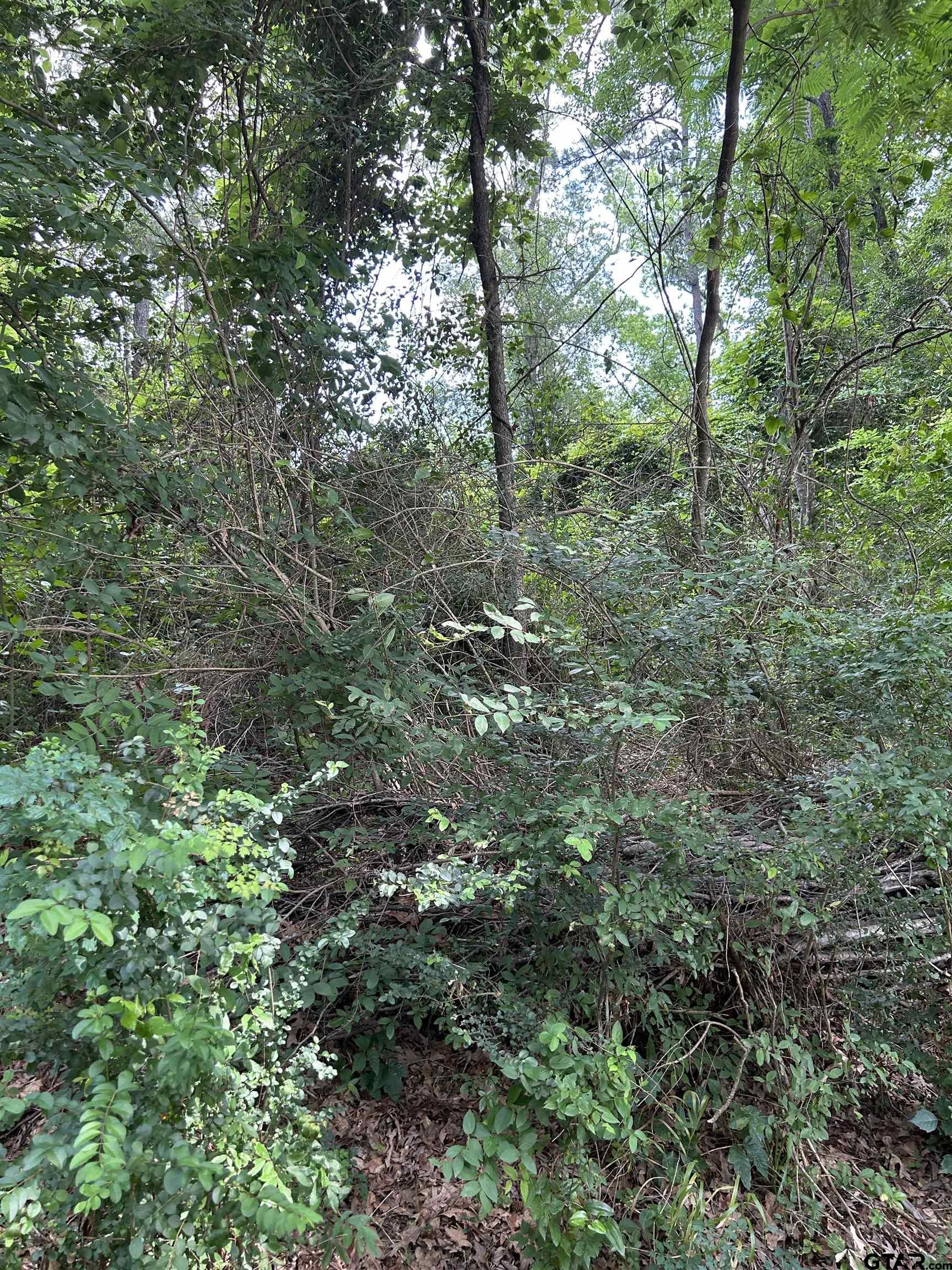 467 Williams Street Rusk, TX 75785 - Photo 3 of 3