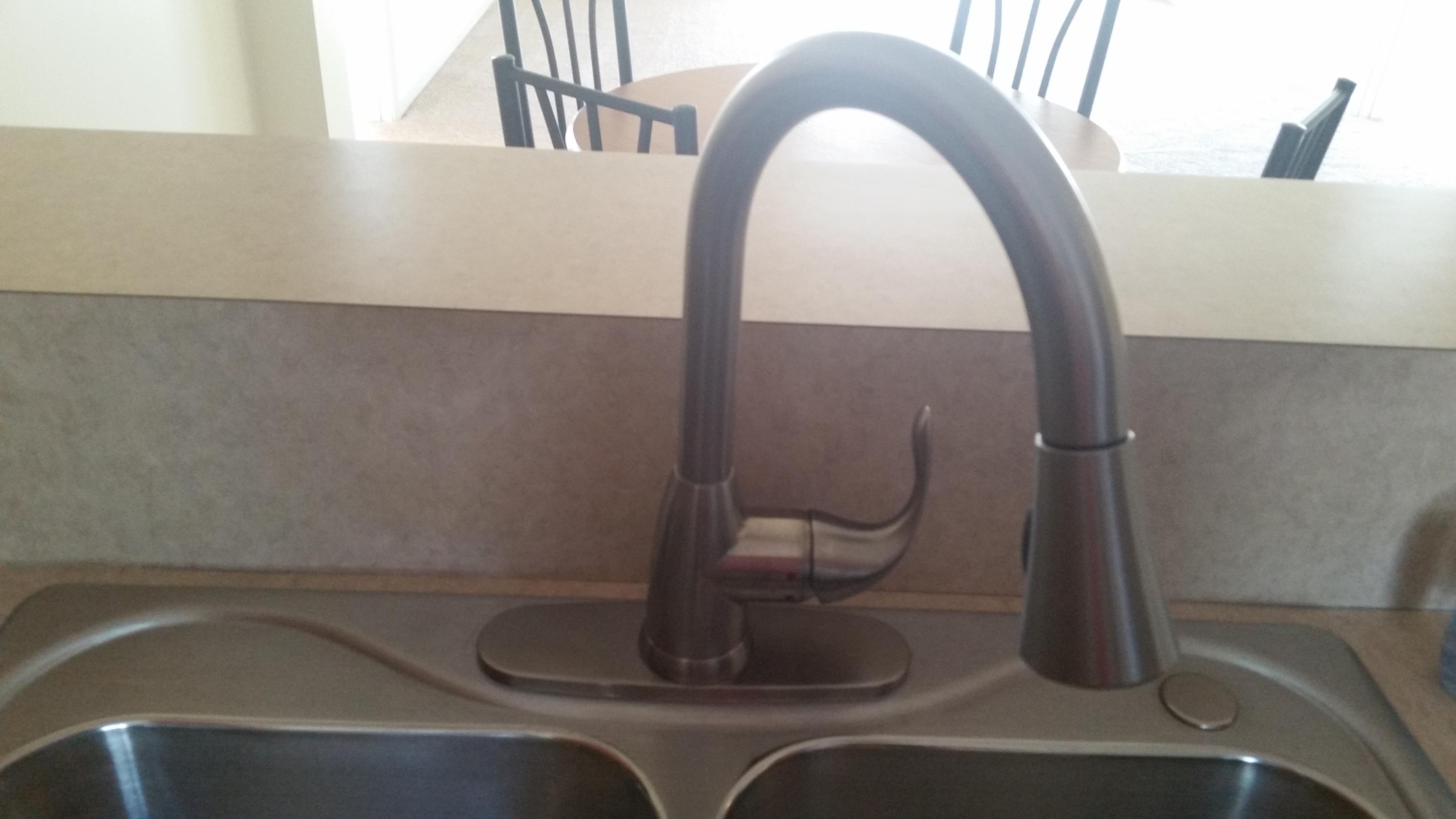 1257 River Rock Road Hanahan, SC 29410 - Photo 26 of 32 New Faucet