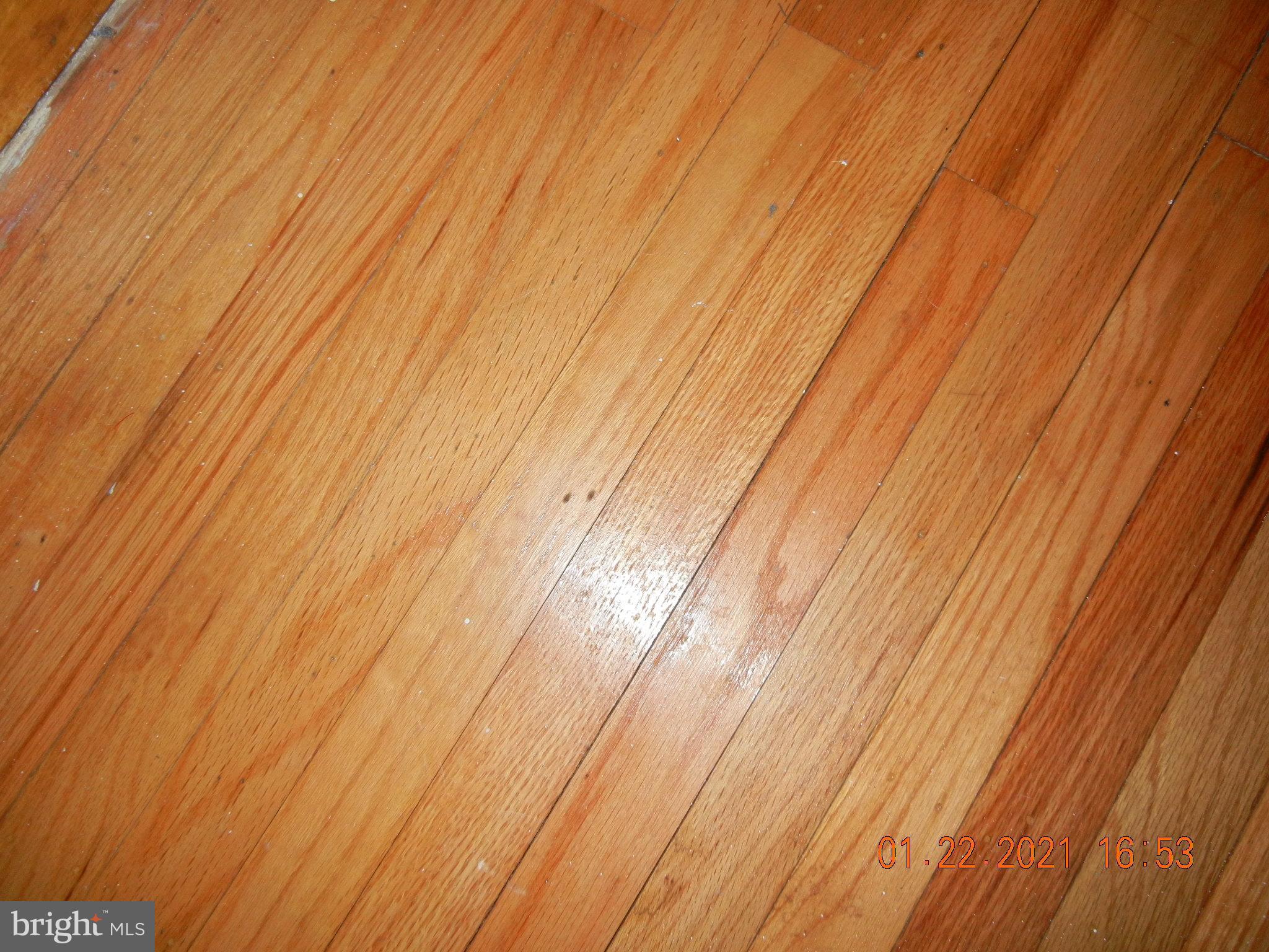 351 Peach Road Bellmawr, NJ 08031 - Photo 3 of 21 Gallery Image 3