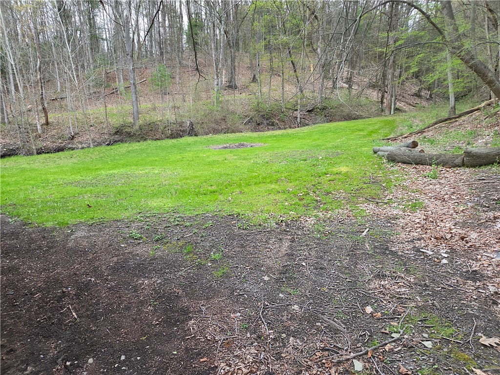 3793 County House Road Jerusalem, NY 14527 - Photo 26 of 32