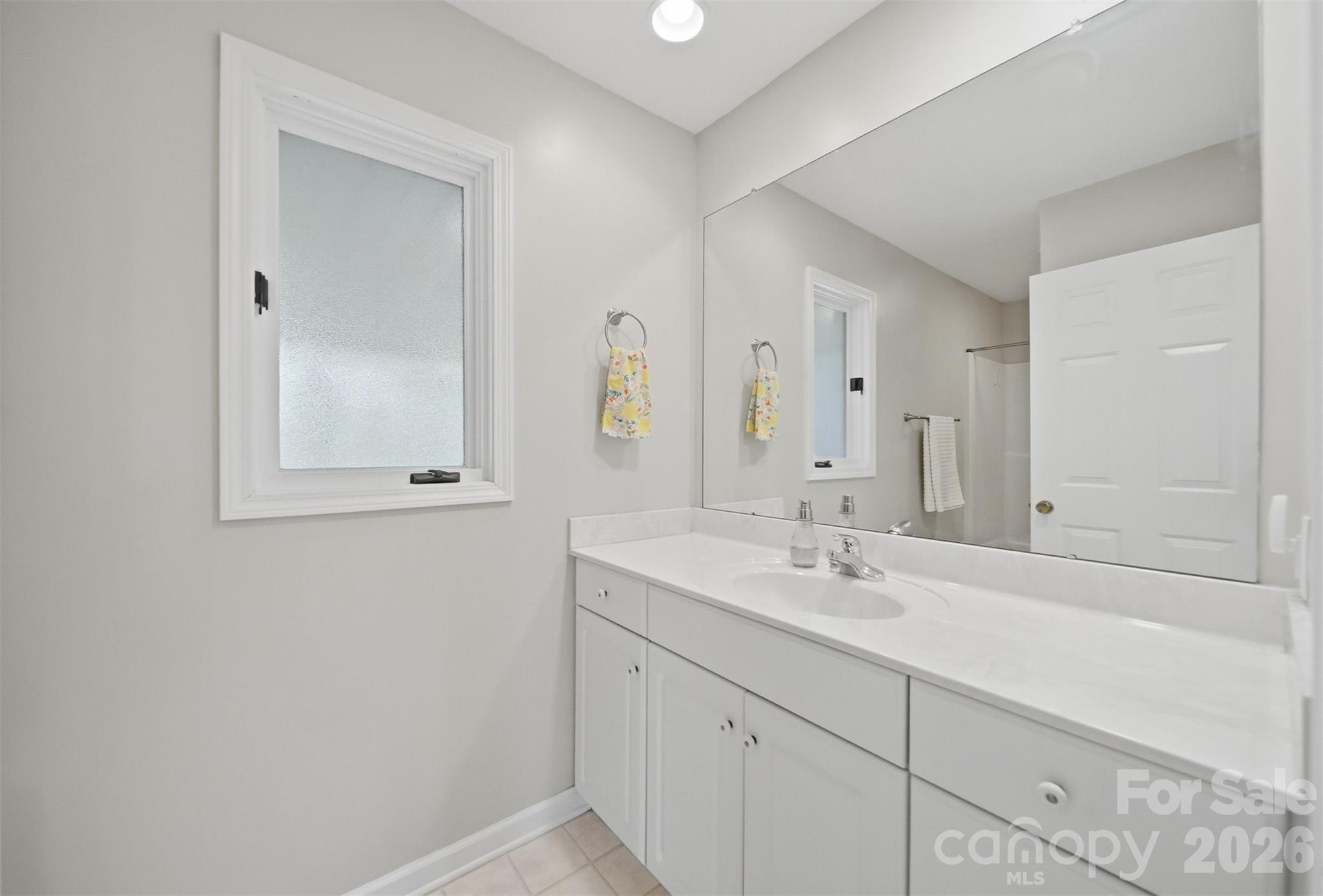 192 Reese Loop Taylorsville, NC 28681 - Photo 20 of 41 a bathroom with a sink and a mirror