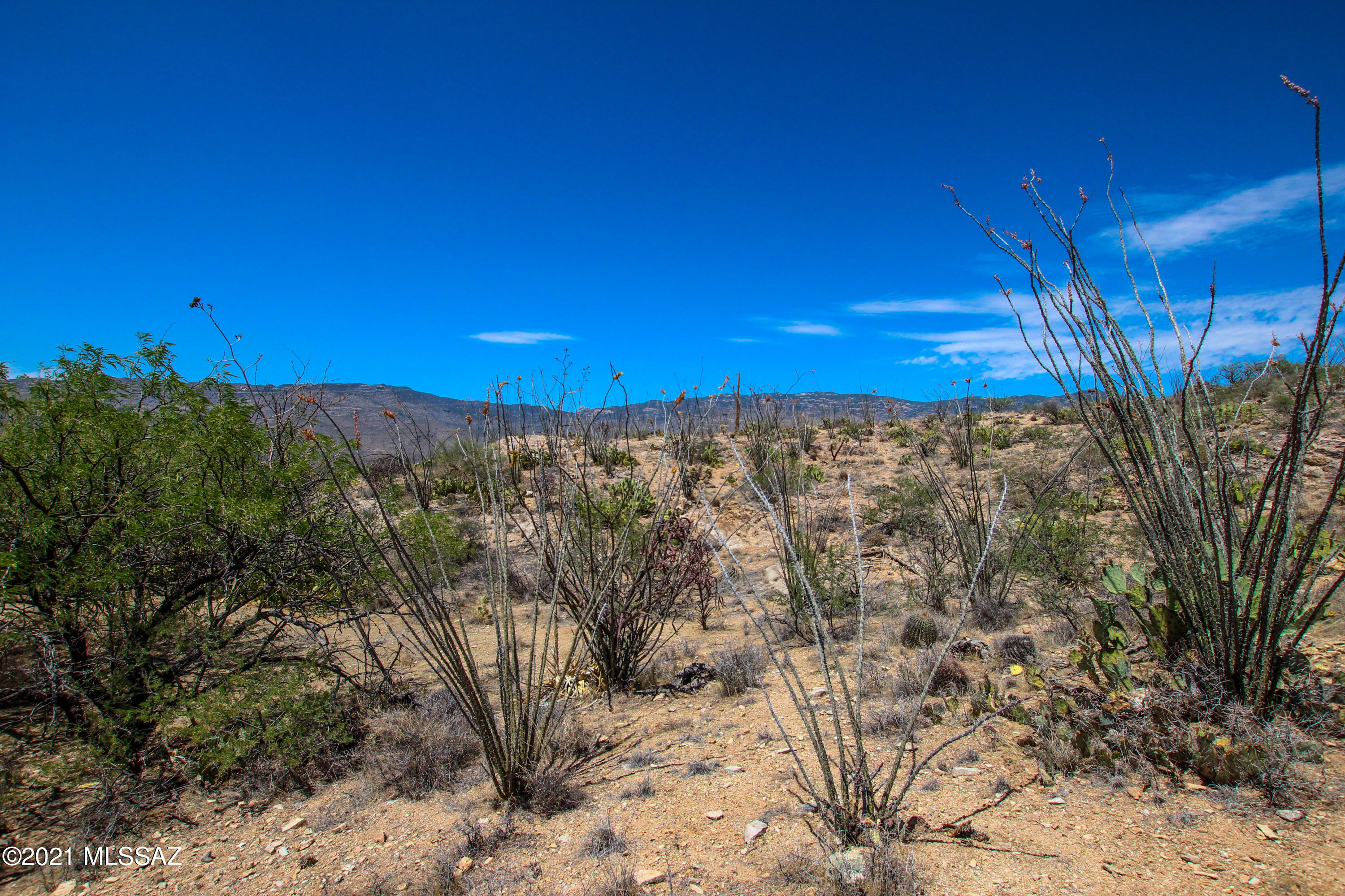 8131 South Pistol Hill Road Vail, AZ 85641 - Photo 30 of 50