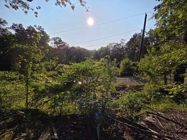 a view of a house with a tree