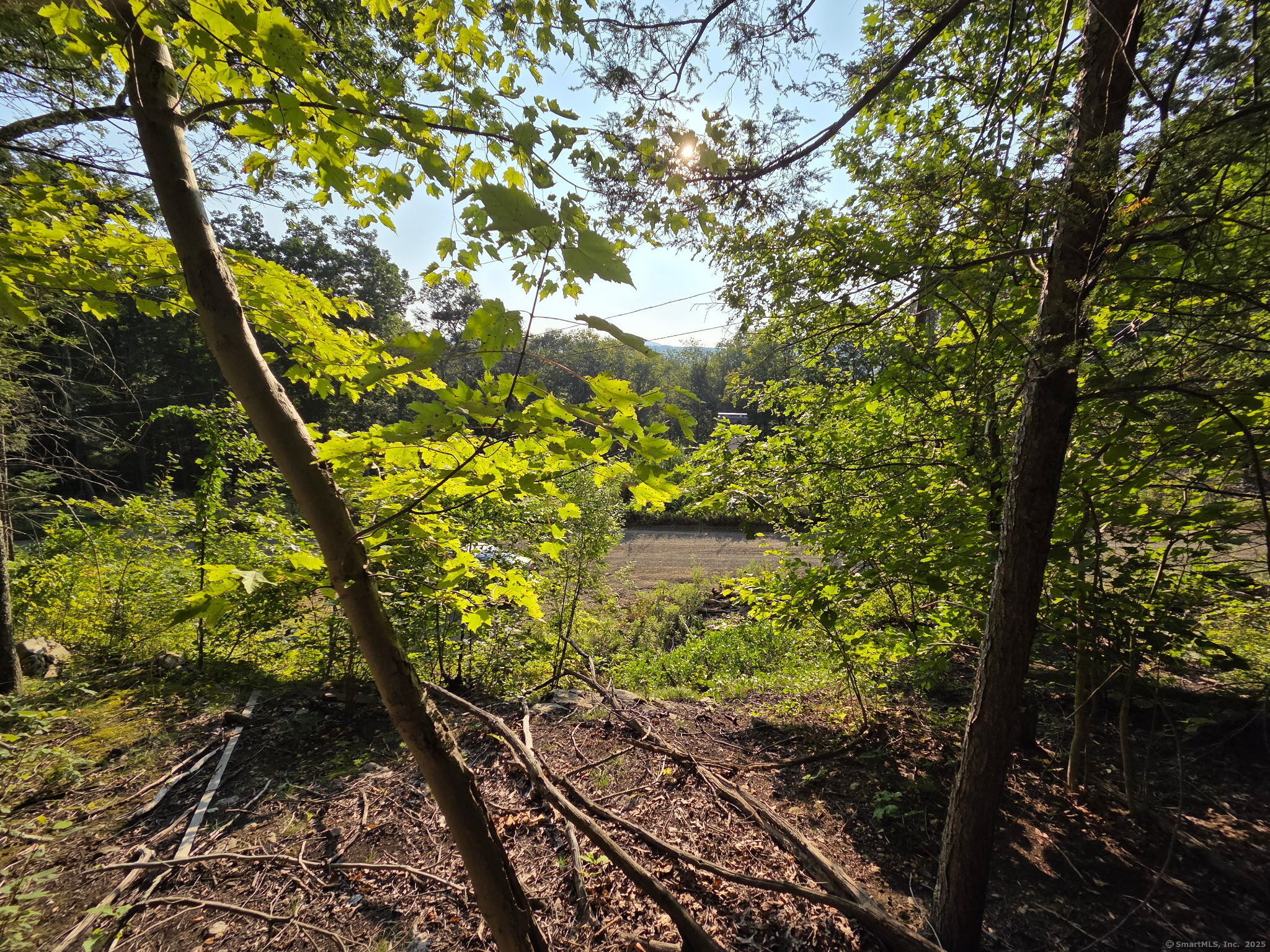 34 Front Of The Mountain Road New Milford, CT 06755 - Photo 3 of 8 a yard with a tree