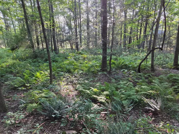 $169,900 | 34 Front Of The Mountain Road, New Milford, CT 06755