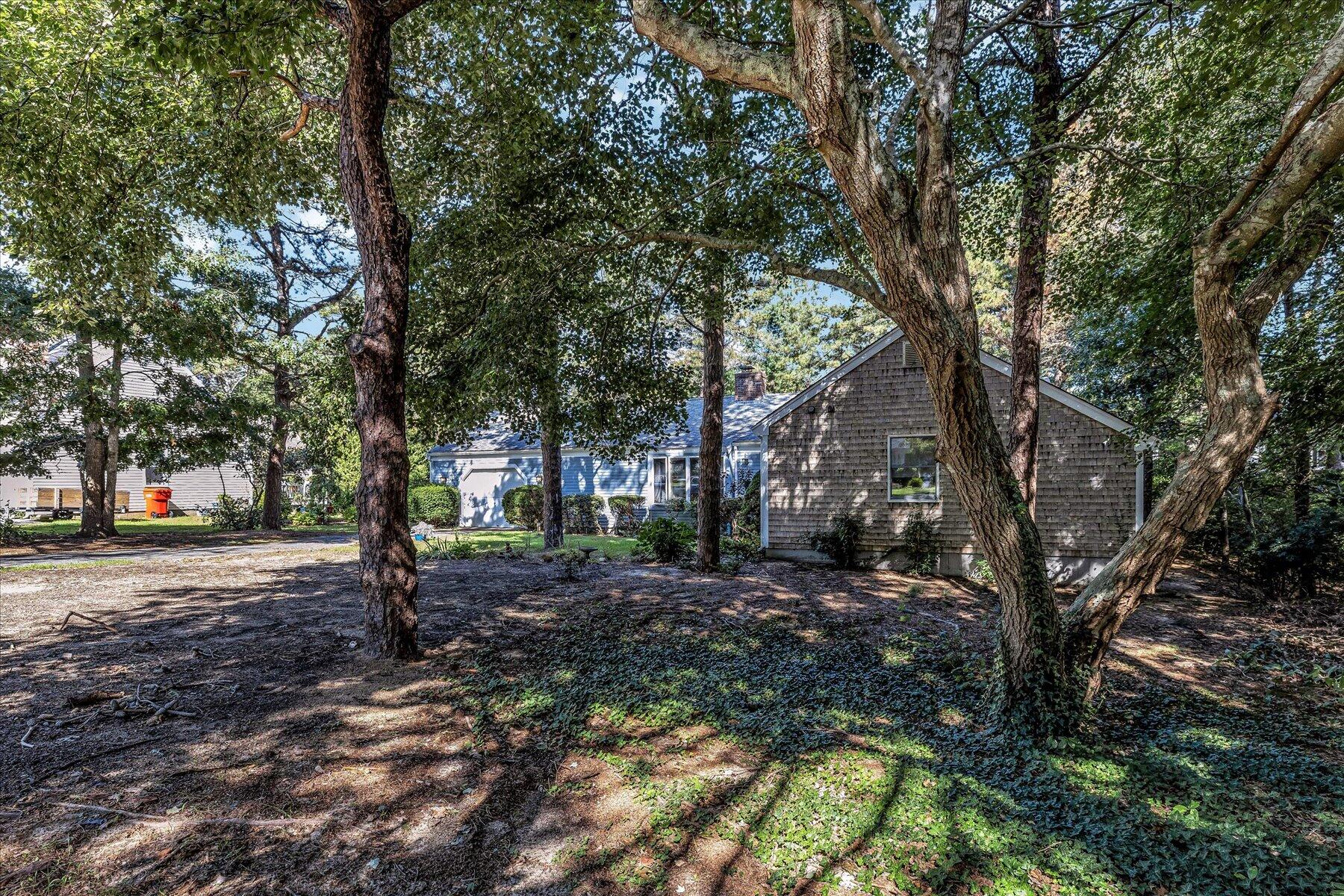 11 Barnacle Lane Mashpee, MA 02649 - Photo 37 of 38 a view of a tree in the middle of a yard