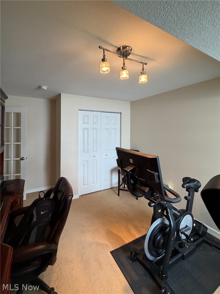 1343 Courtland Road Weirton, WV 26062 - Photo 46 of 50 Workout room featuring carpet floors and a textured ceiling