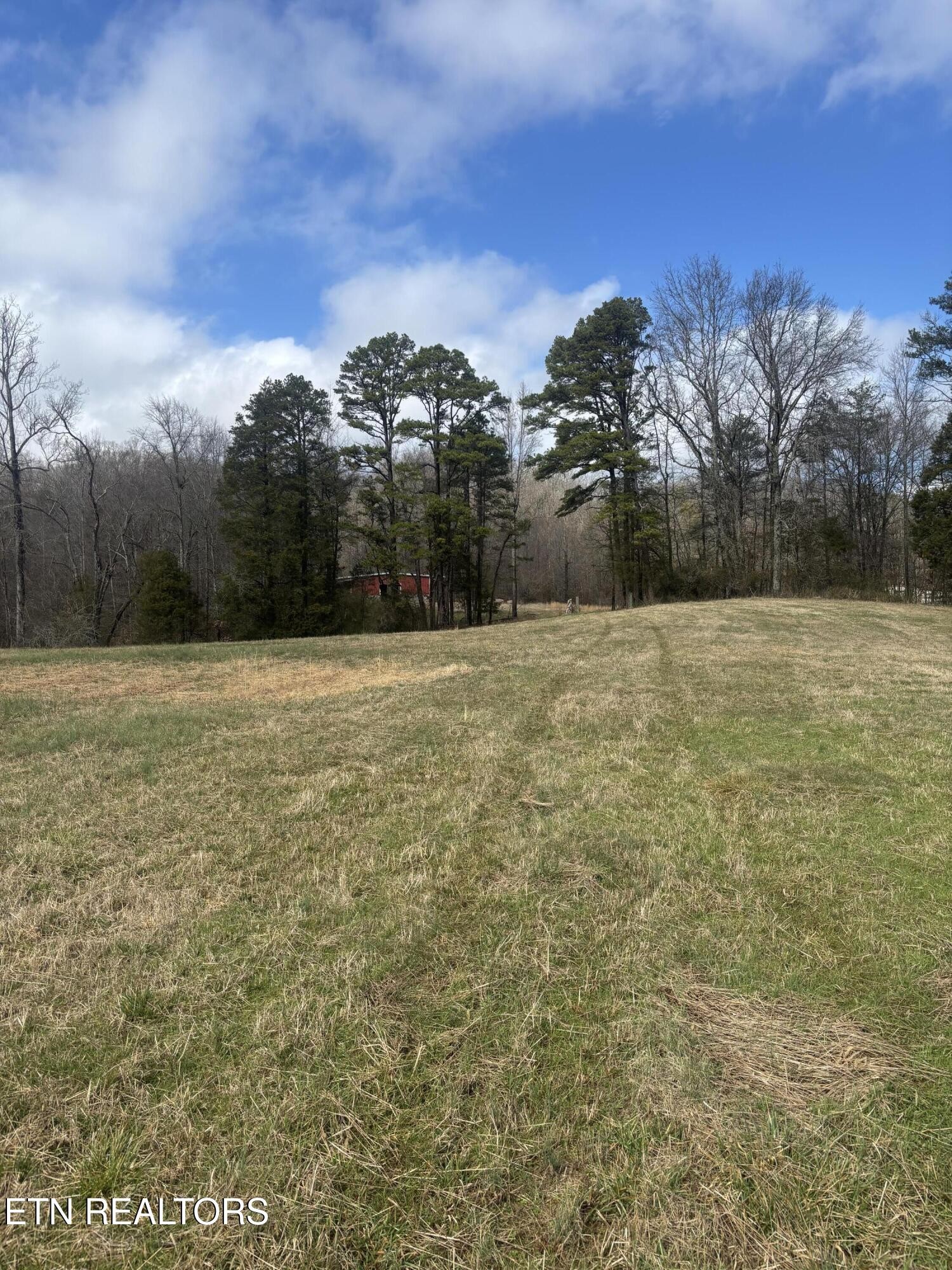110 Peninsula Road Harriman, TN 37748 - Photo 2 of 5 Gallery Image 2