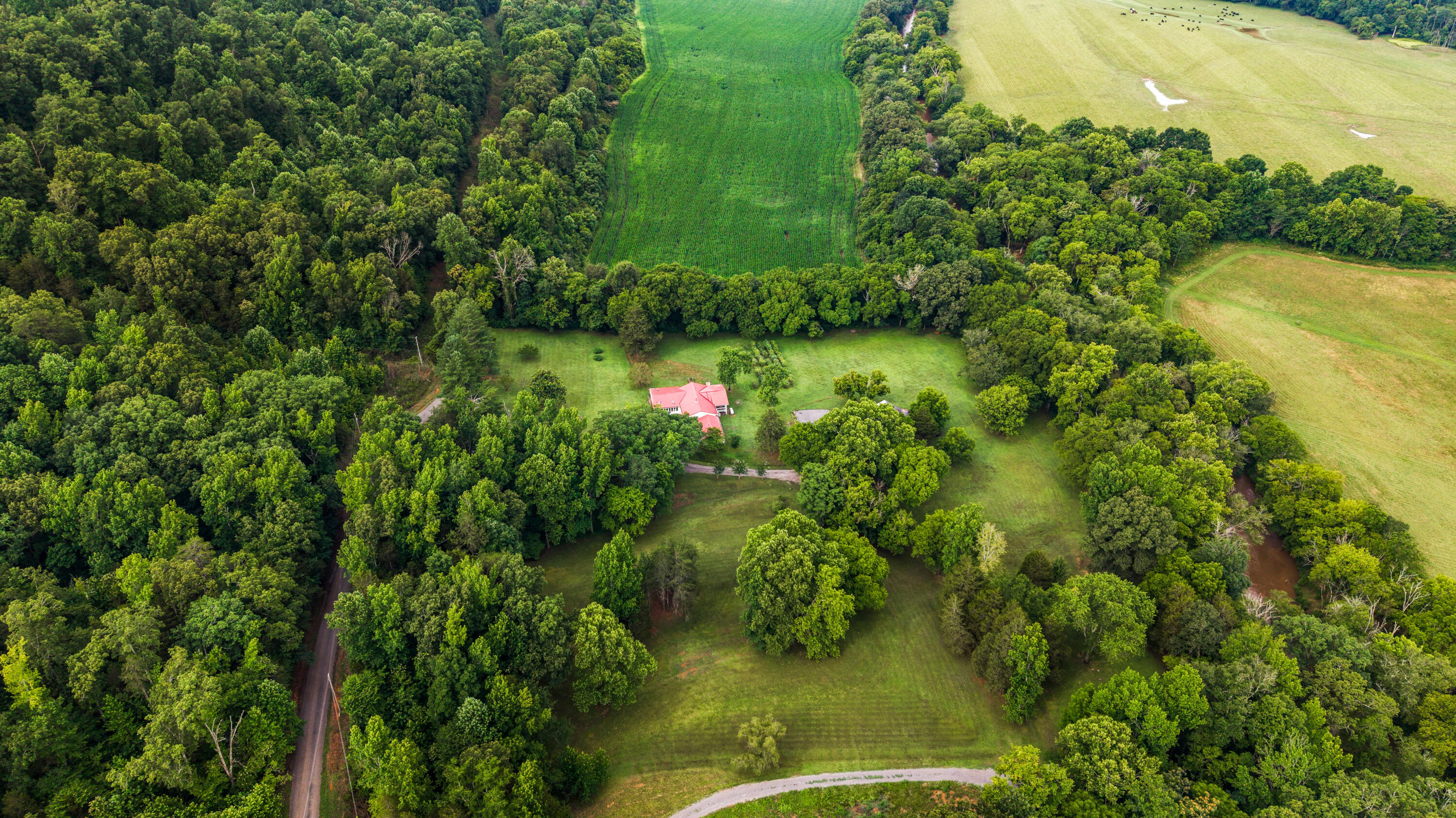 49 Hart Of Pine Road Dunlap, TN 37327 - Photo 77 of 126 JUNE BEAUTY