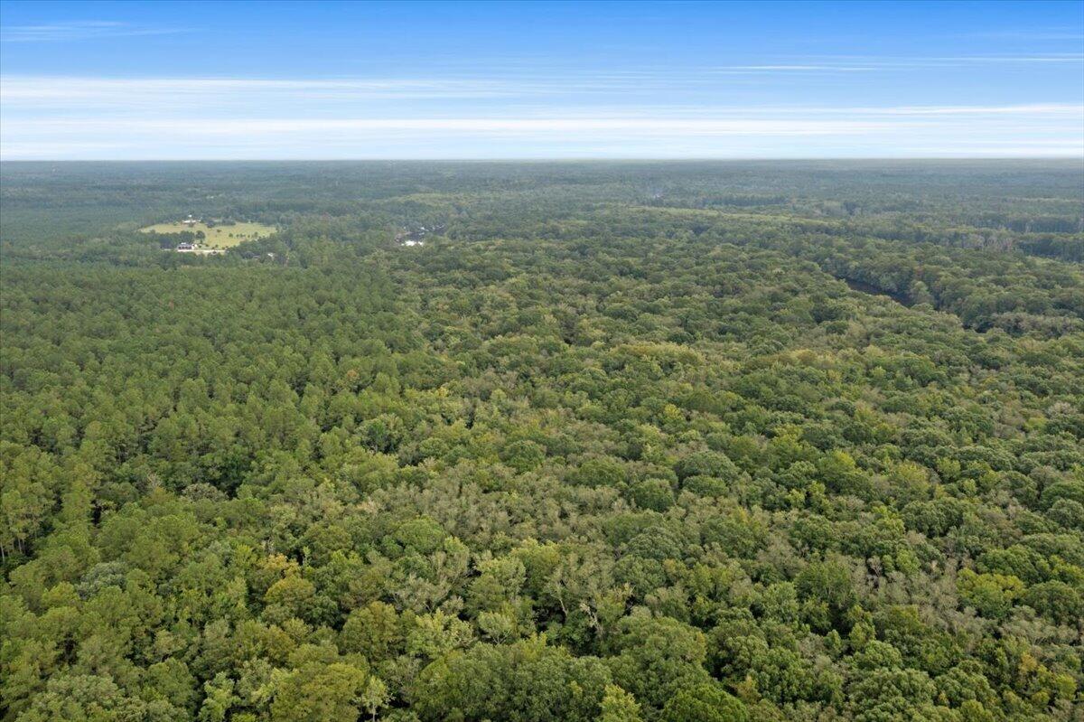 0 Camp Buddy Road Ridgeville, SC 29472 - Photo 13 of 31 Would Make a Great Hunting Paradise