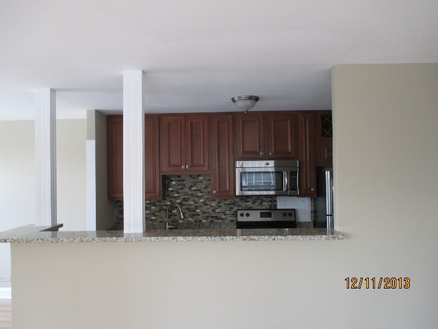 336 West Wellington Avenue, Unit 604 Chicago, IL 60657 - Photo 6 of 9 a view of kitchen with stainless steel appliances granite countertop cabinets and a potted plant