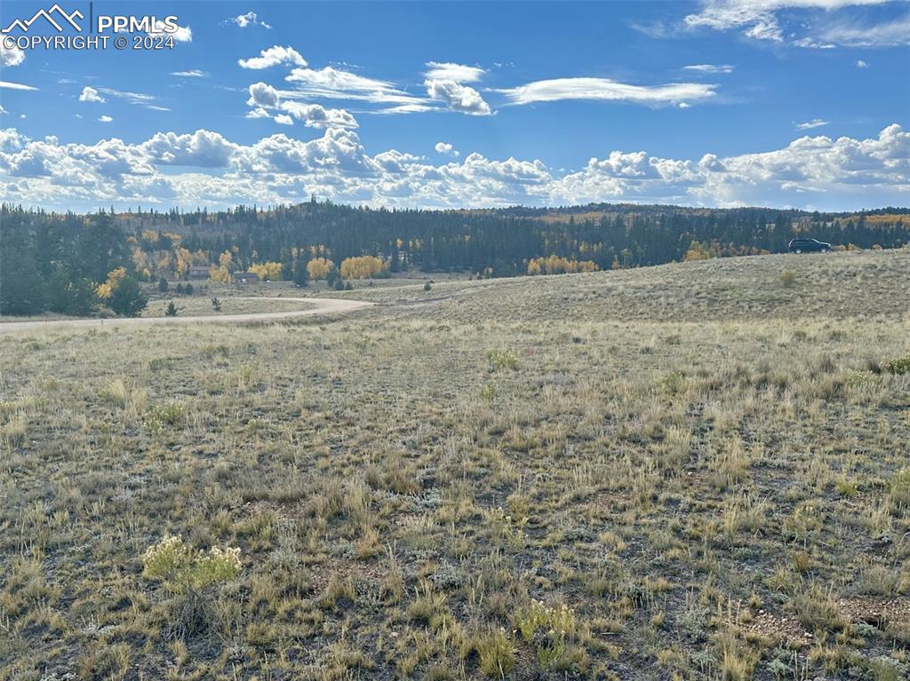 651 Warrior Circle Como, CO 80432 - Photo 8 of 25