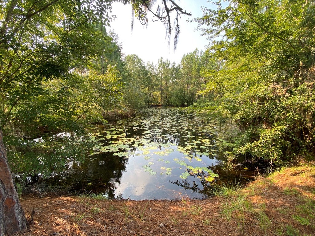 4556 Terracewood Road Valdosta, GA 31606 - Photo 20 of 25 Gallery Image 20