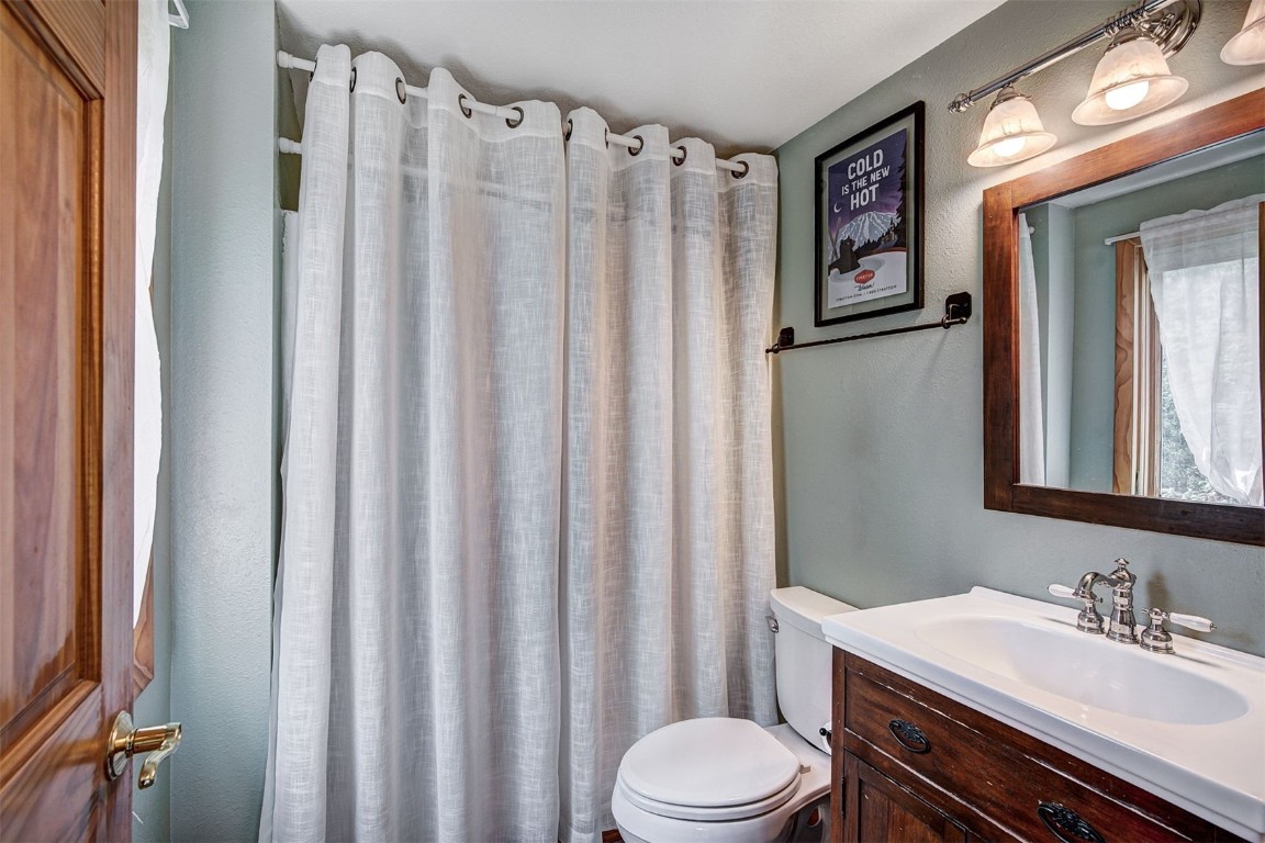 73 Illinois Gulch Road, Unit 8 Breckenridge, CO 80424 - Photo 19 of 24 a bathroom with a sink a toilet and shower curtain