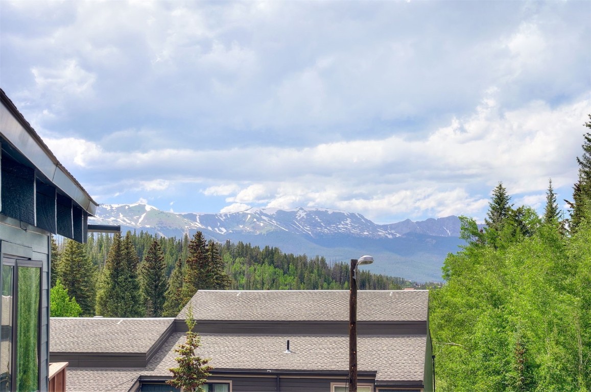 73 Illinois Gulch Road, Unit 8 Breckenridge, CO 80424 - Photo 24 of 24 a view of a terrace