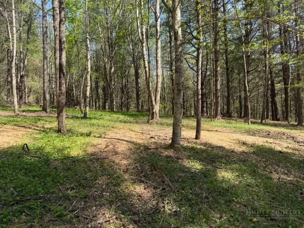 a view of outdoor space with trees