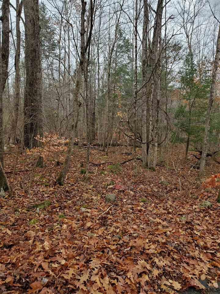 0 Brandy Brook Road Napanoch, NY 12458 - Photo 2 of 7 Photo 2