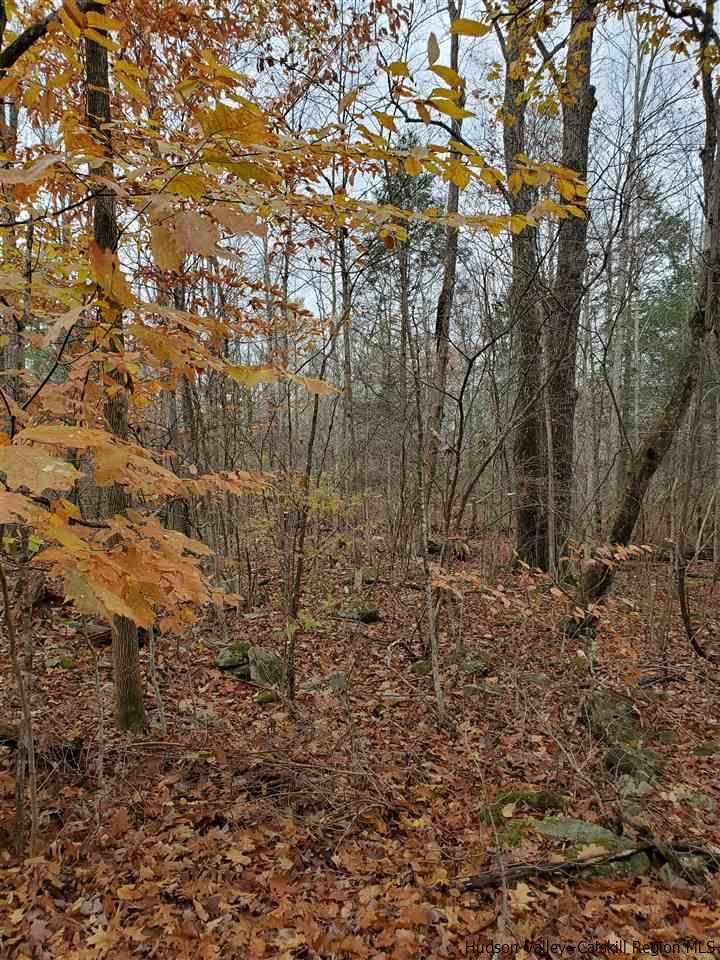 0 Brandy Brook Road Napanoch, NY 12458 - Photo 3 of 7 Photo 3