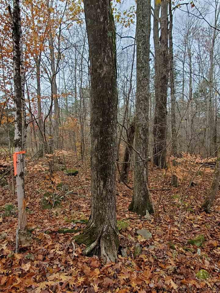 0 Brandy Brook Road Napanoch, NY 12458 - Photo 5 of 7 Photo 5