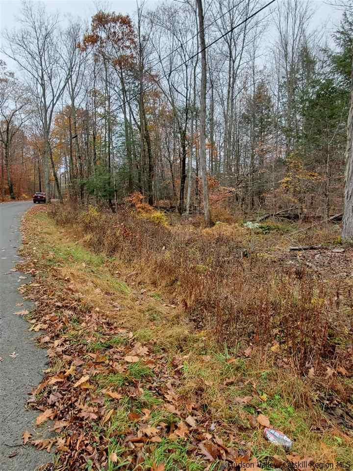 0 Brandy Brook Road Napanoch, NY 12458 - Photo 6 of 7 Photo 6