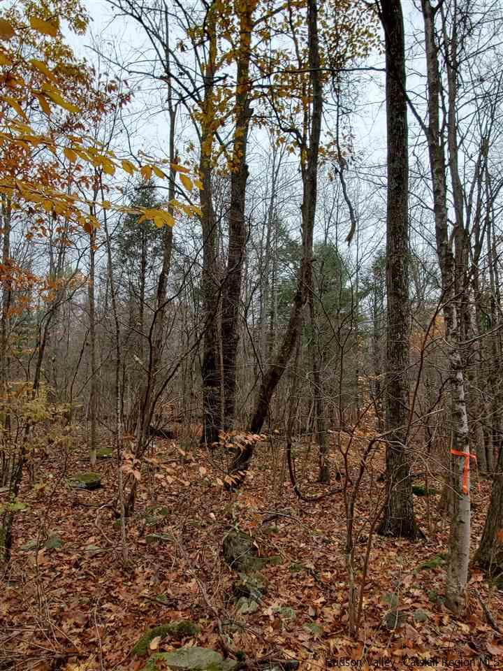 0 Brandy Brook Road Napanoch, NY 12458 - Photo 7 of 7 Photo 7
