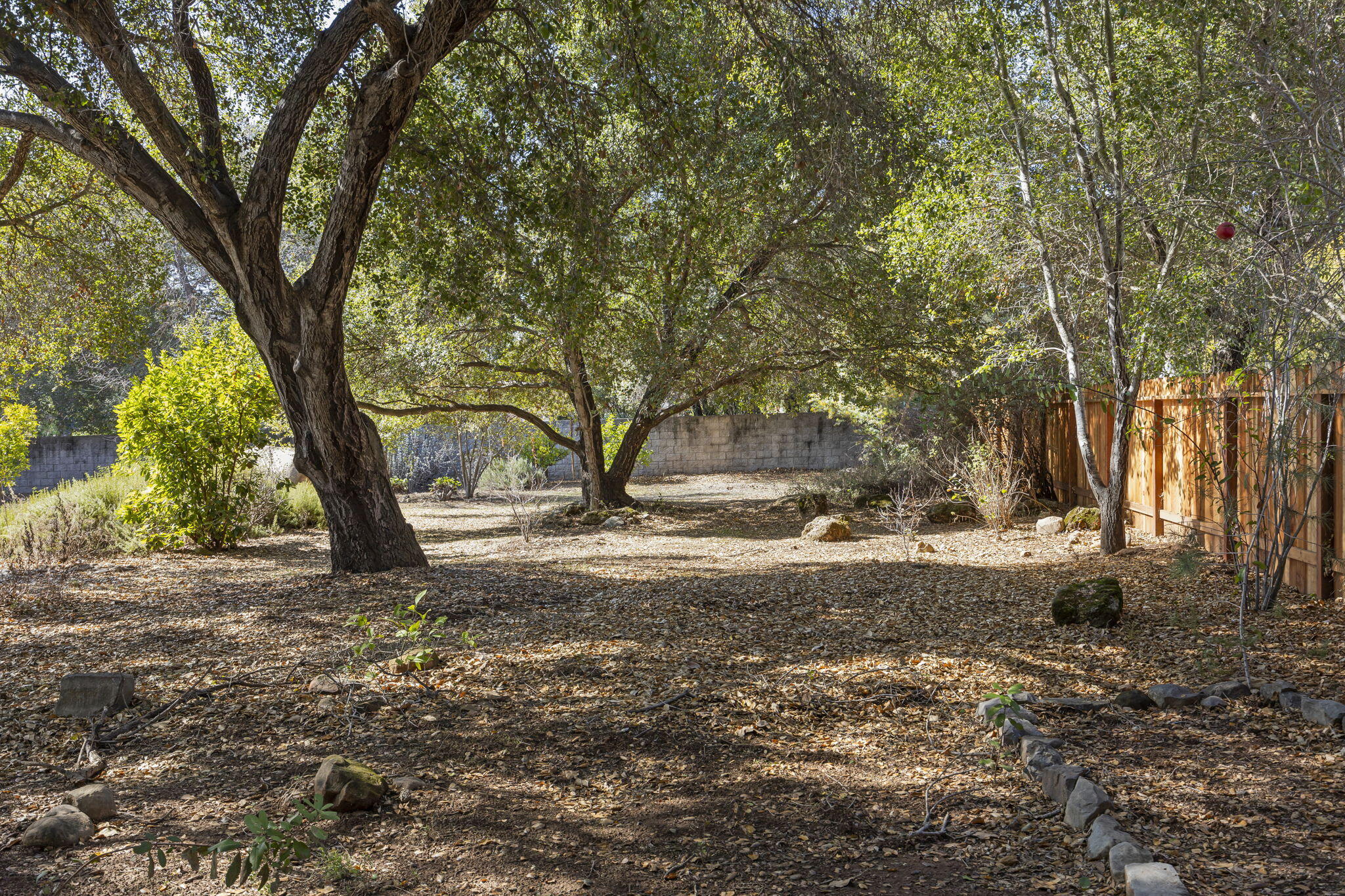 885 Oakwood Street Ojai, CA 93023 - Photo 32 of 35 a view of a yard with a tree