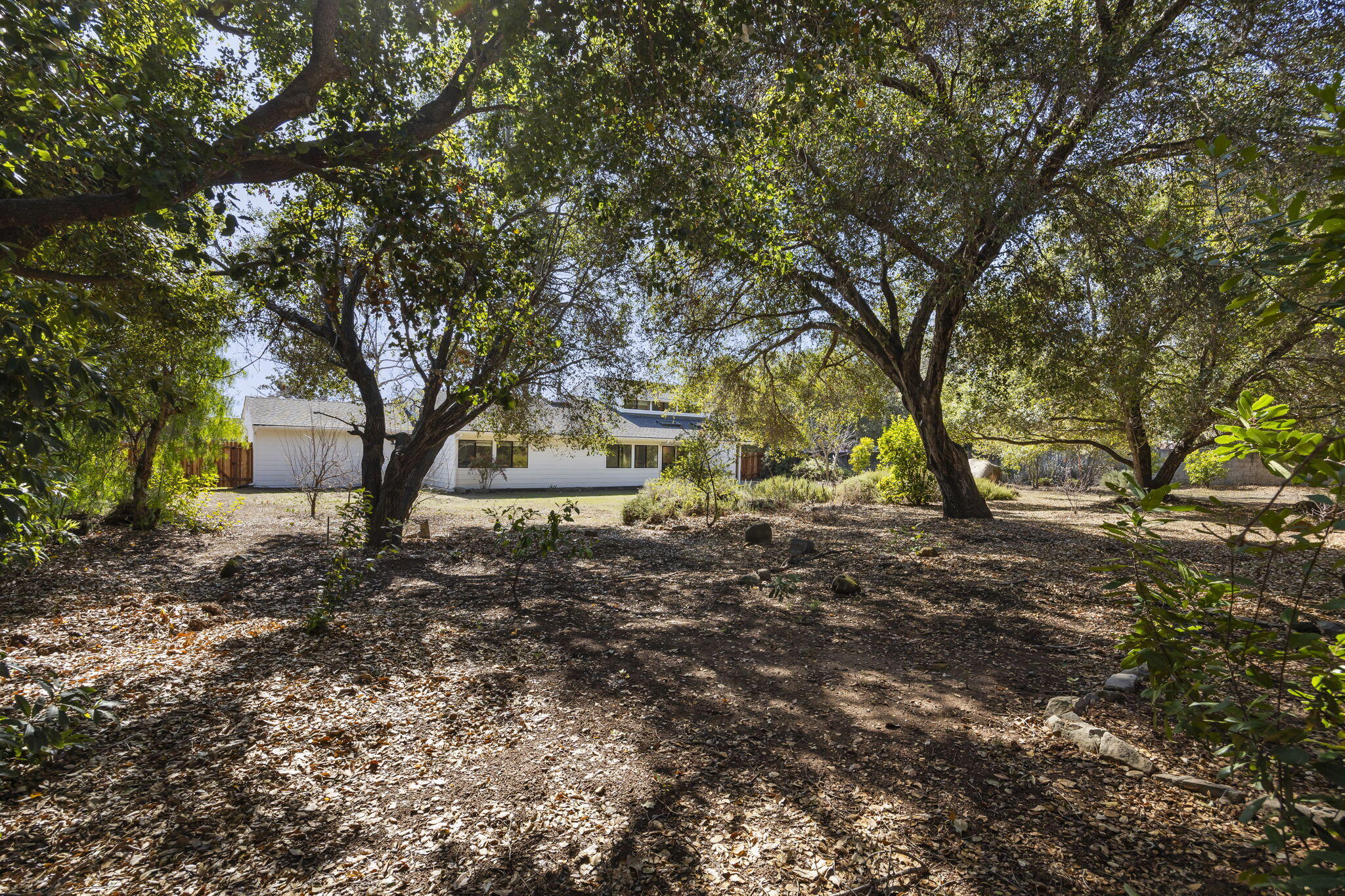 885 Oakwood Street Ojai, CA 93023 - Photo 34 of 35 a view of outdoor space with trees