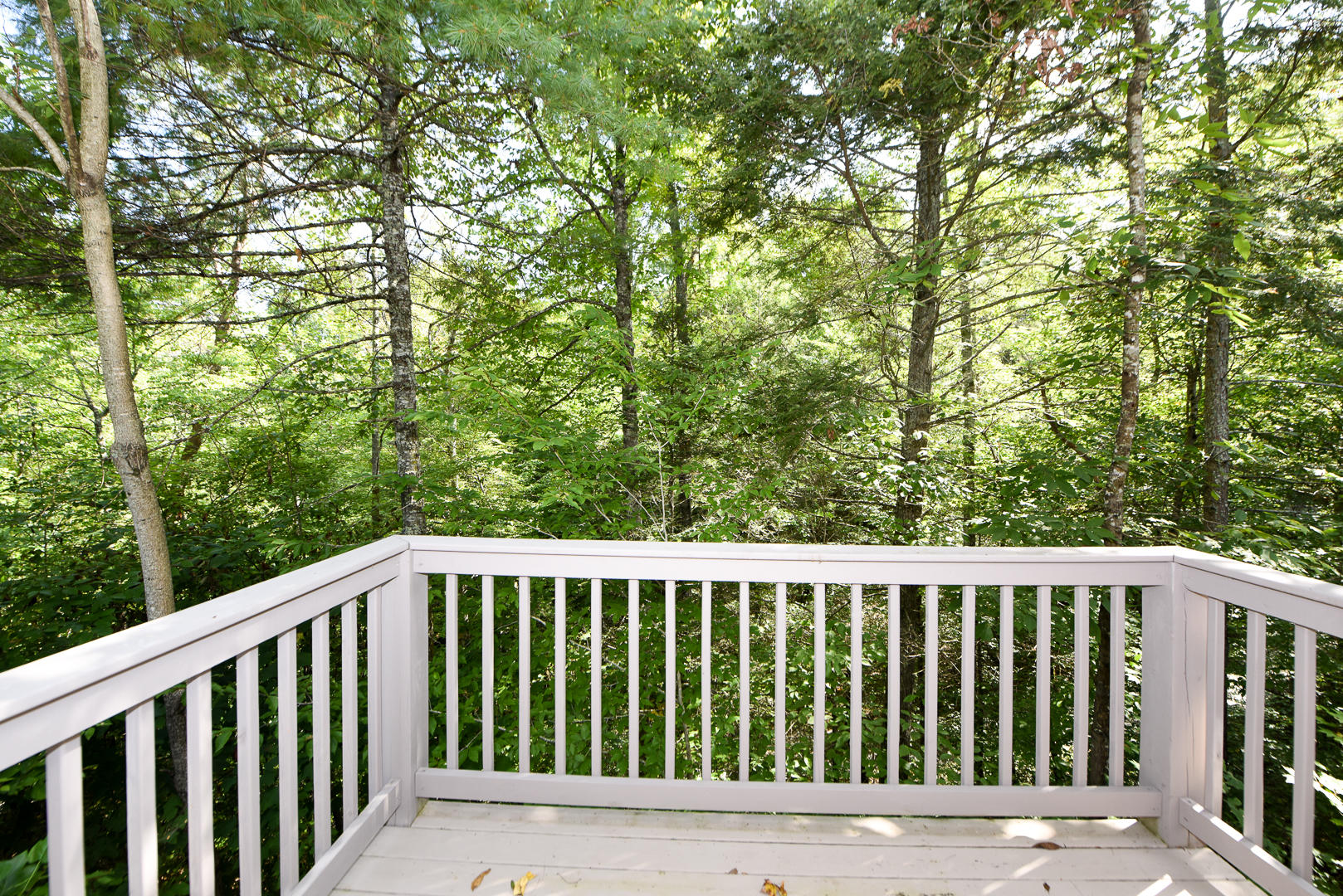 448 Laurel Valley Road Townsend, TN 37882 - Photo 35 of 35 DSC_3183