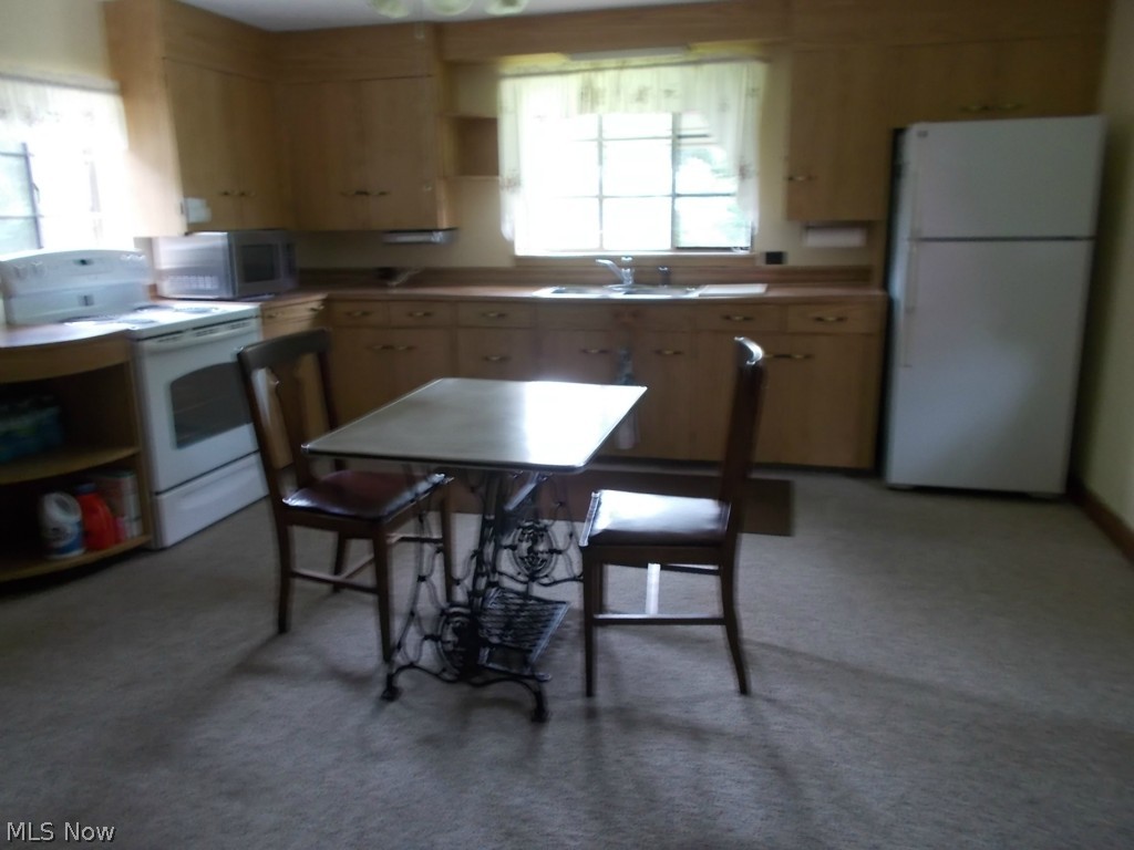 4486 Runkle Avenue Ashtabula, OH 44004 - Photo 3 of 19 Gallery Image 3