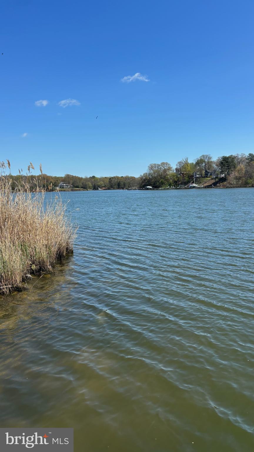 7703 Dover Road Glen Burnie, MD 21060 - Photo 24 of 25