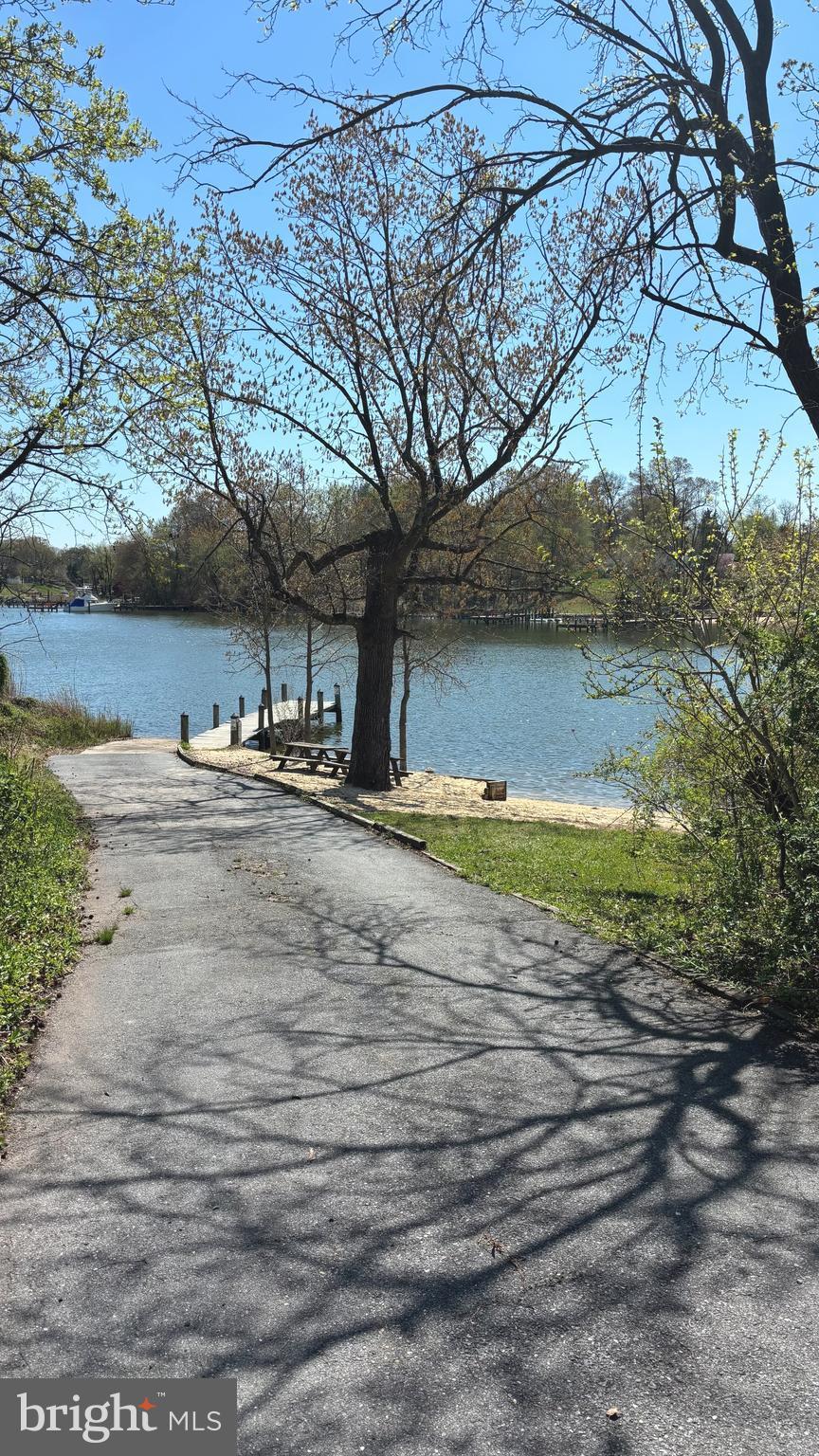 7703 Dover Road Glen Burnie, MD 21060 - Photo 4 of 25 a view of yard with large tree