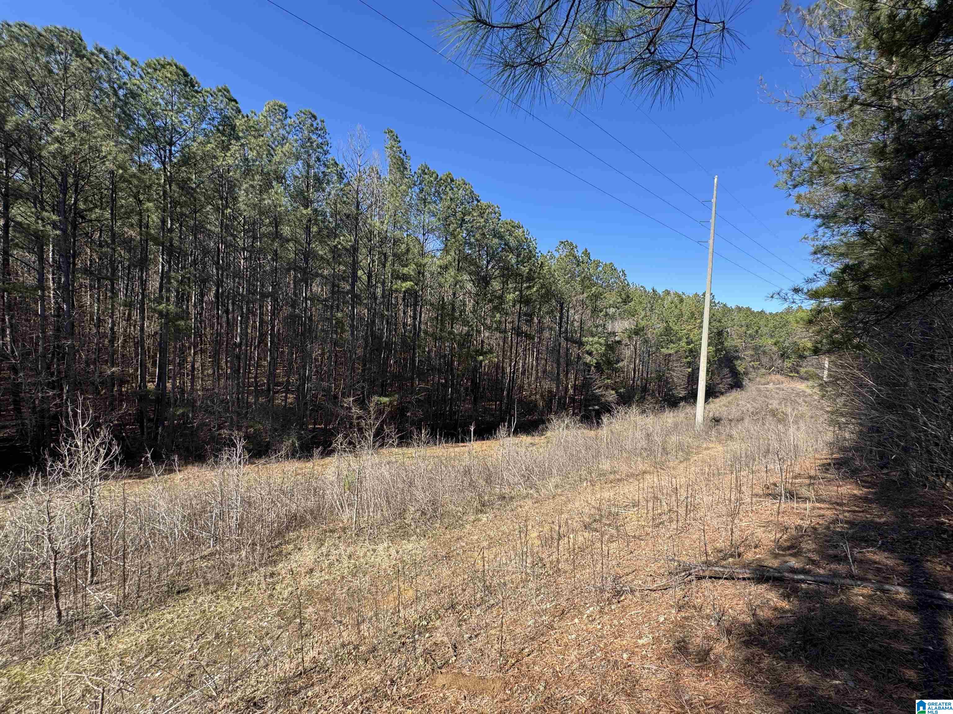 0 Booler Road Vance, AL 35490 - Photo 13 of 19