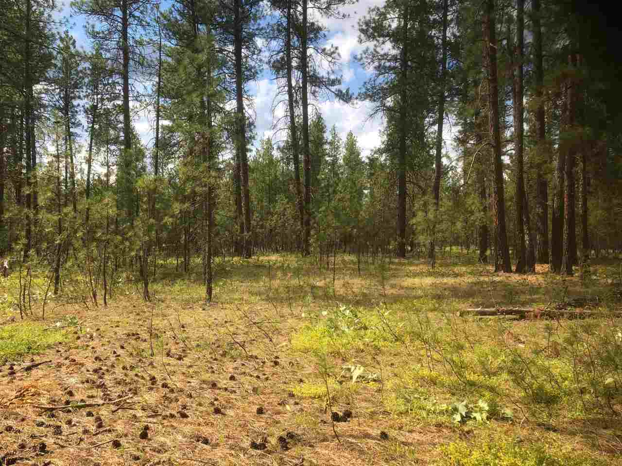 26909 North Hardesty Road Chattaroy, WA 99003 - Photo 8 of 9