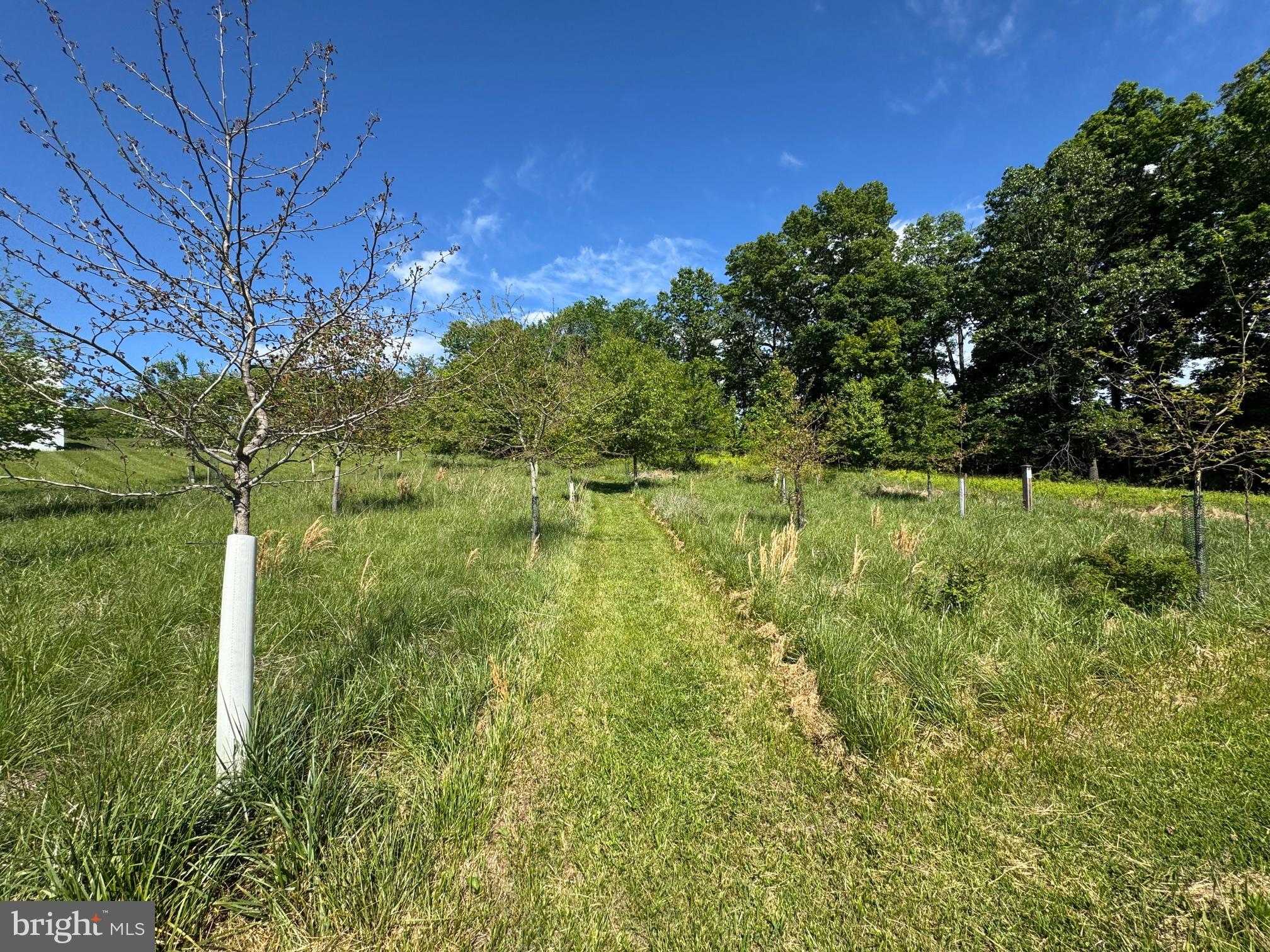 15491 Barnesville Road Boyds, MD 20841 - Photo 11 of 18 a backyard of a house with lots of green space