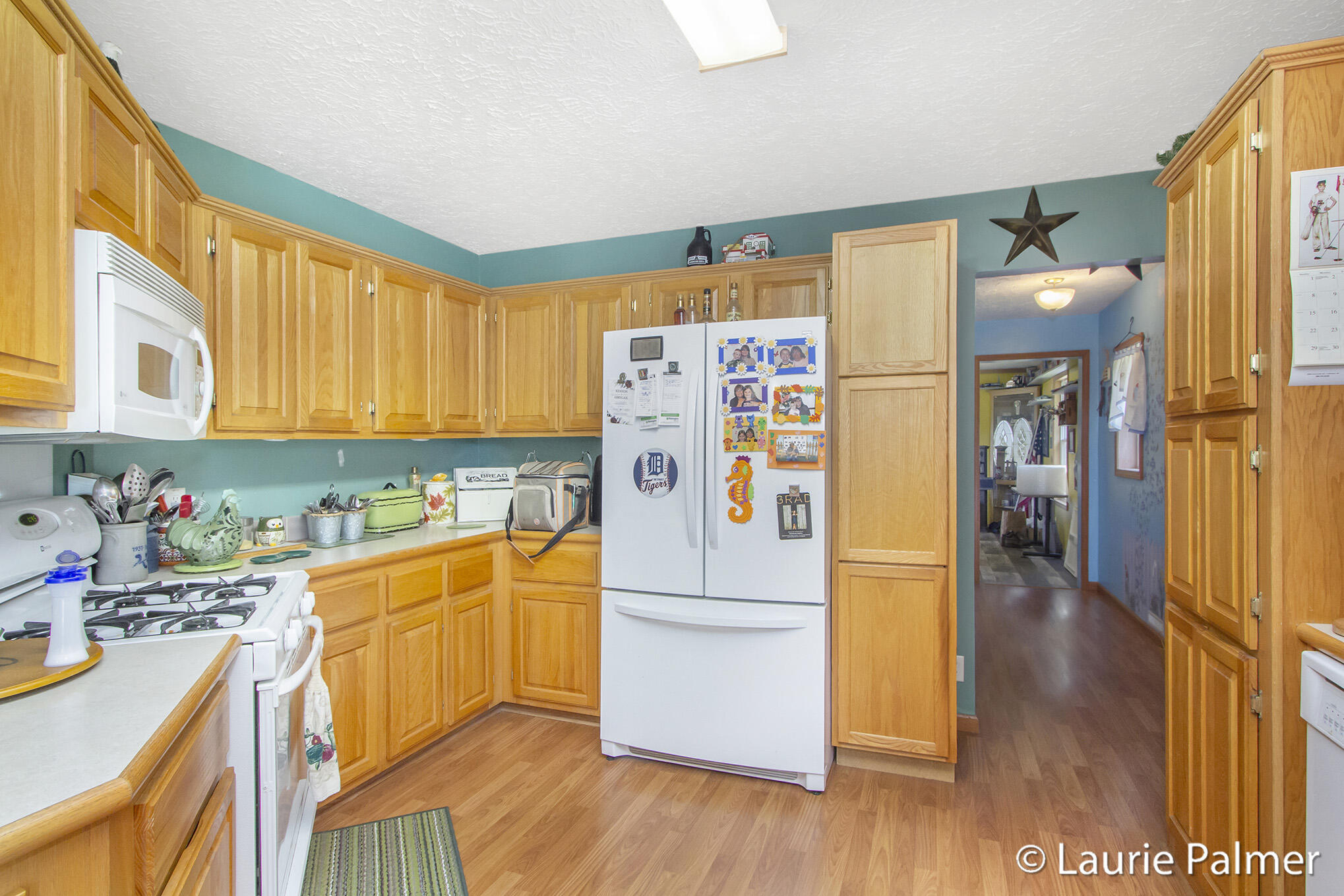 4024 East Clarksville Road Portland, MI 48875 - Photo 11 of 28 IMG_3259